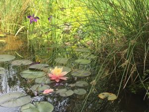 marpa_09